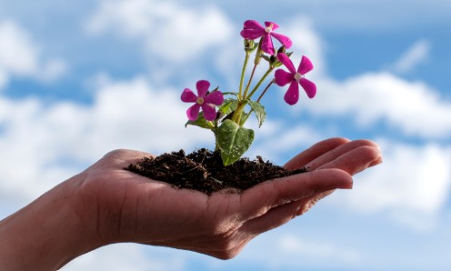 March 2026 | Newsletter